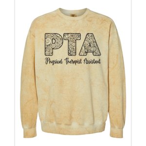 Physical Therapist Assistant PTA Gifts Physical Therapy PT Colorblast Crewneck Sweatshirt