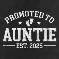 Promoted To Auntie Est. 2025 Baby Announcement For Aunt Adult Drive Performance Visor