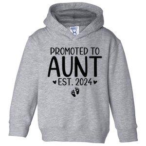 Promoted To Aunt 2024 First Time New Aunt Pregnancy Toddler Hoodie