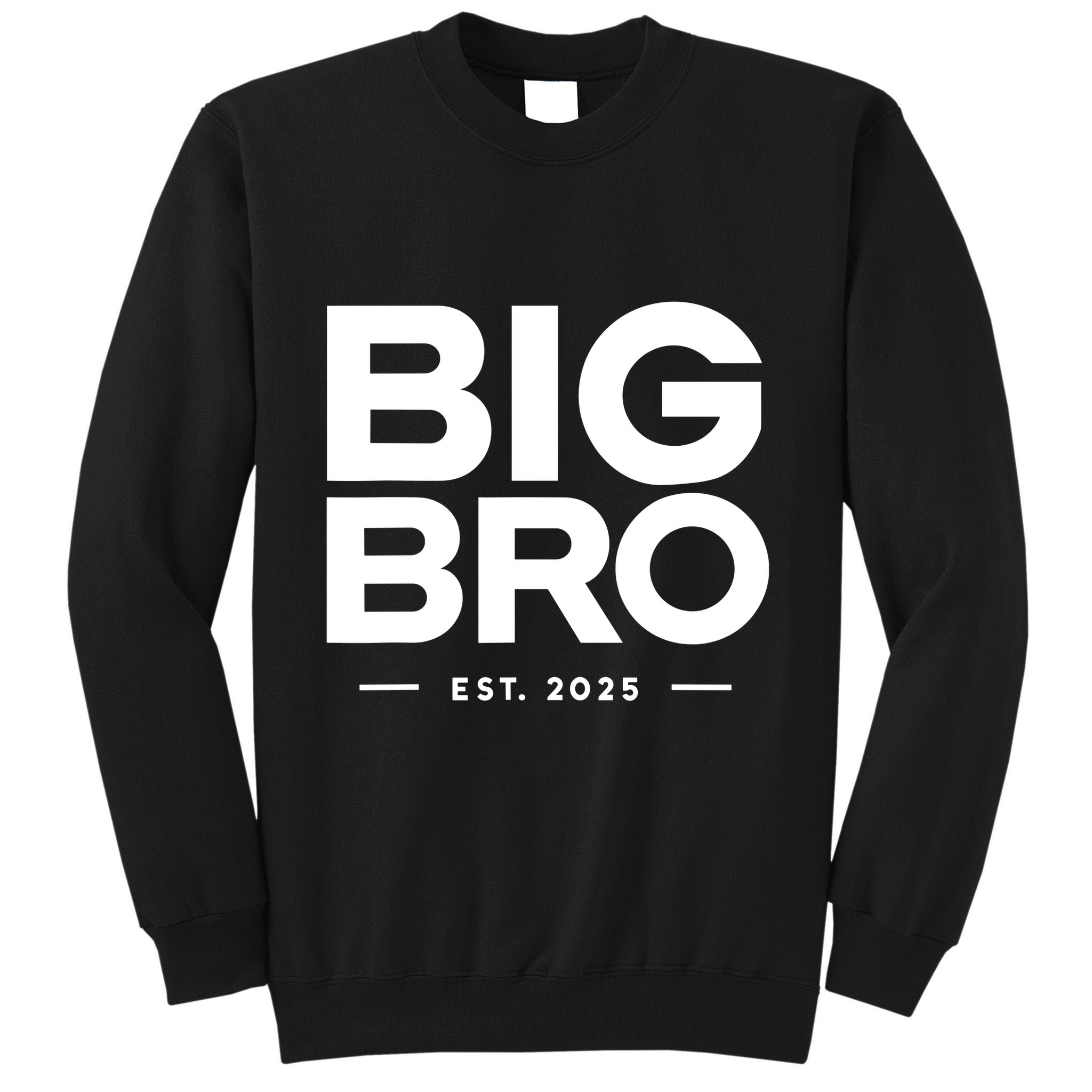 Promoted To Big Bro 2025 Big Brother Tall Sweatshirt