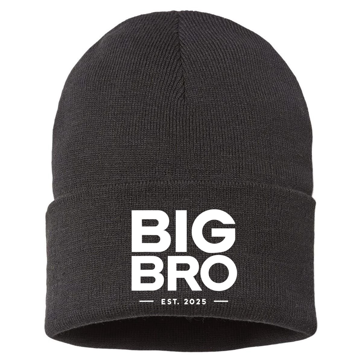 Promoted To Big Bro 2025 Big Brother Sustainable Knit Beanie