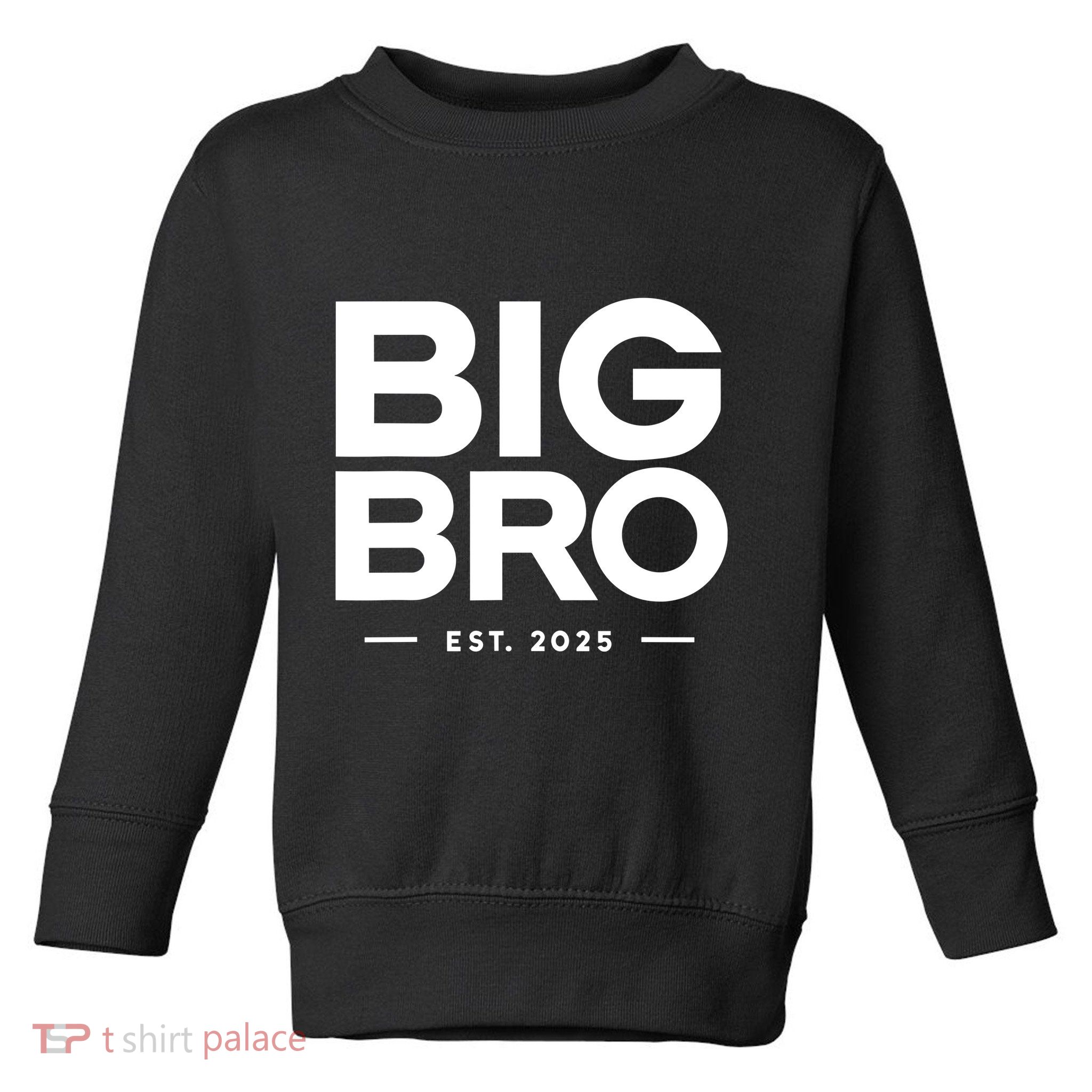 Promoted To Big Bro 2025 Big Brother Toddler Sweatshirt