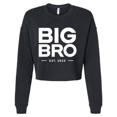 Promoted To Big Bro 2025 Big Brother Cropped Pullover Crew