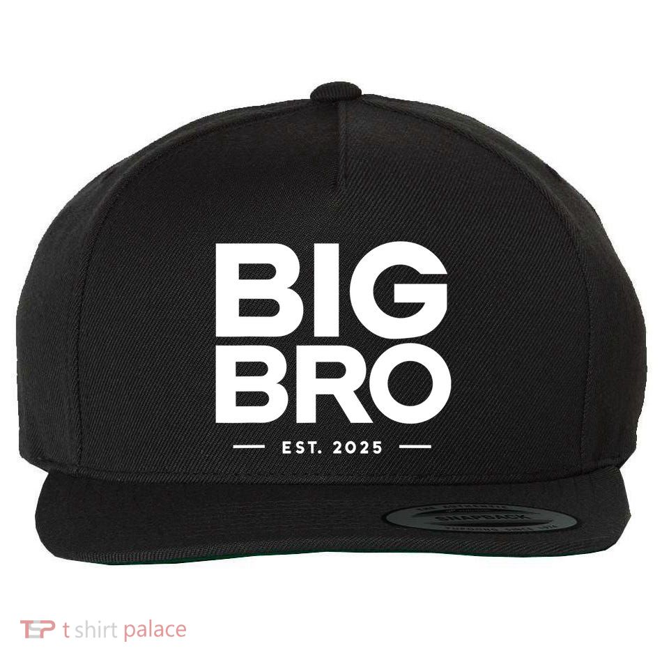 Promoted To Big Bro 2025 Big Brother Wool Snapback Cap