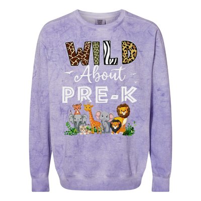 Prek Teacher Back To School Wild About Prek Gift Colorblast Crewneck Sweatshirt