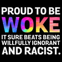 Proud To Be Woke It Sure Beats Being Willfully Ignorant 16 in Basic Backpack