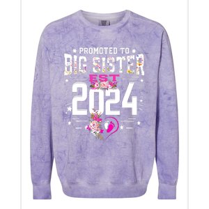 Promoted To Big Sister Est 2024 New Big Sister Mothers Day Colorblast Crewneck Sweatshirt