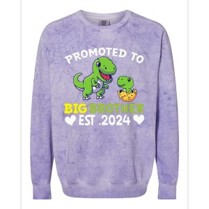 Promoted To Big Brother 2024 Big Brother 2024 Colorblast Crewneck Sweatshirt