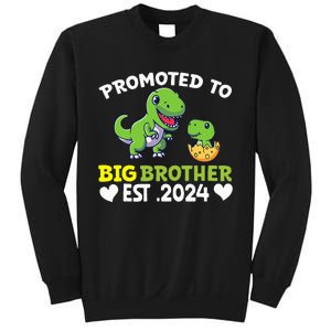 Promoted To Big Brother 2024 Big Brother 2024 Sweatshirt