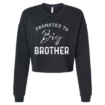 Promoted To Big Brother 2024 Dinosaur Sibling Outfits Cropped Pullover Crew