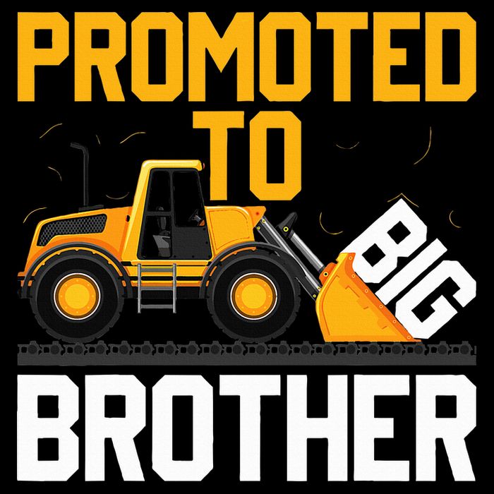 Promoted To Big Brother  I Leveled up to Big Brother Cropped Pullover Crew
