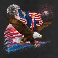 Patriotic Trump Bald Eagle American Pride Usa Flag July 4th 7 Panel Mesh Trucker Snapback Hat