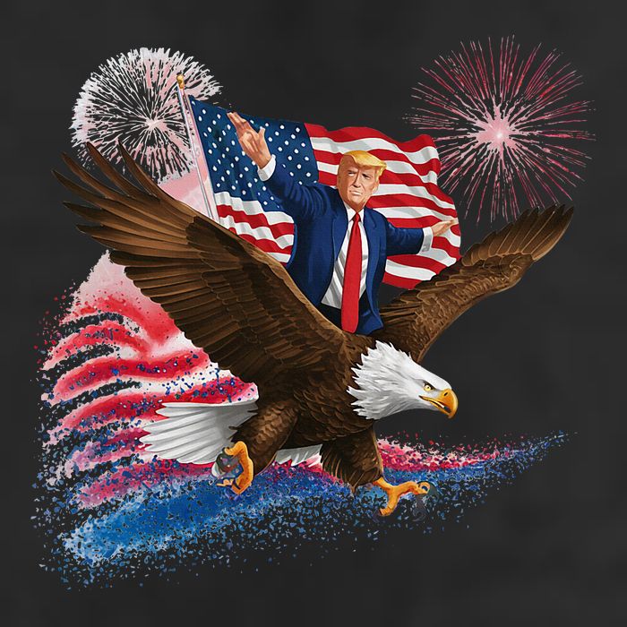 Patriotic Trump Bald Eagle American Pride Usa Flag July 4th 7 Panel Mesh Trucker Snapback Hat