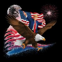 Patriotic Trump Bald Eagle American Pride Usa Flag July 4th Womens T-Shirt
