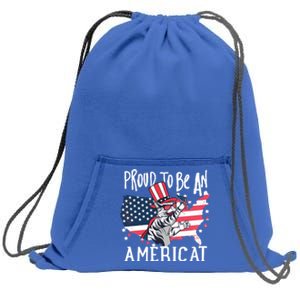 Proud To Be Americat Funny Cat American Illustration Gift Sweatshirt Cinch Pack Bag