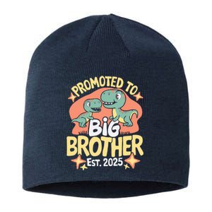 Promoted To Big Brother 2025 Dinosaur Trex Boy Sustainable Beanie