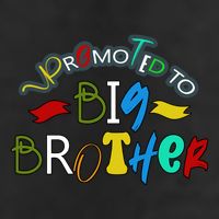 Promoted To Big Brother Est 2025 / Soon To Be Big Brother 7 Panel Mesh Trucker Snapback Hat