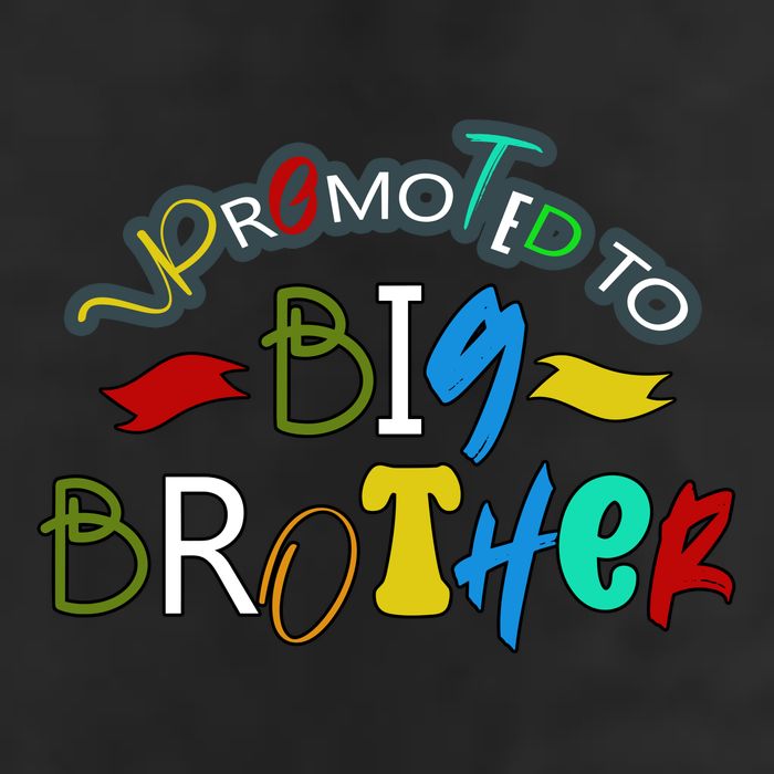 Promoted To Big Brother Est 2025 / Soon To Be Big Brother 7 Panel Mesh Trucker Snapback Hat