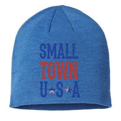 Proud To Be An American Gift Sustainable Beanie