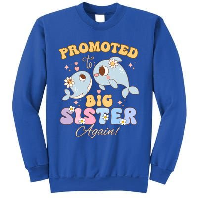 Promoted To Be Big Sister Again 2025 Cute Sis Gift Sweatshirt