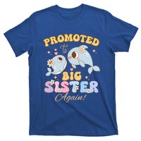 Promoted To Be Big Sister Again 2025 Cute Sis Gift T-Shirt