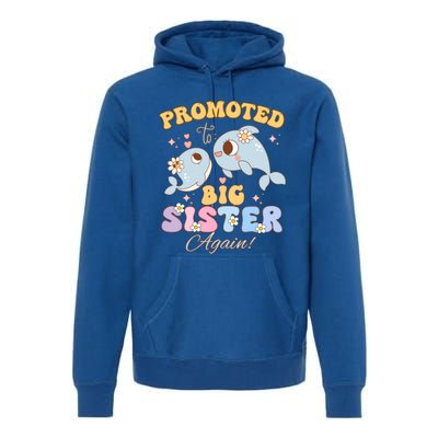 Promoted To Be Big Sister Again 2025 Cute Sis Gift Premium Hoodie