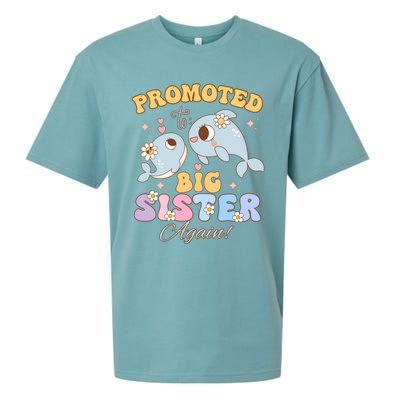 Promoted To Be Big Sister Again 2025 Cute Sis Gift Sueded Cloud Jersey T-Shirt