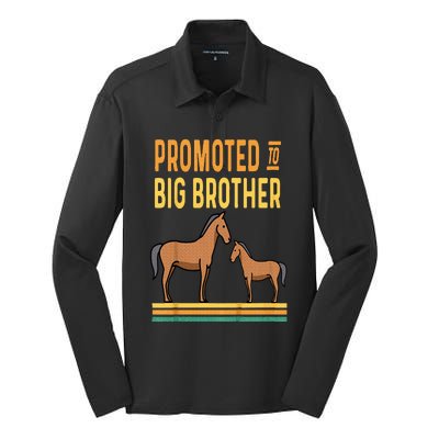 Promoted to Big Brother Baby Announcement Horse Mare Pony Silk Touch Performance Long Sleeve Polo