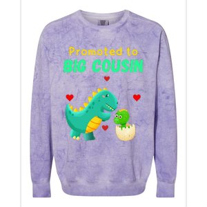 Promoted To Big Cousin Dinosaur I Love U Baby Kiss Colorblast Crewneck Sweatshirt