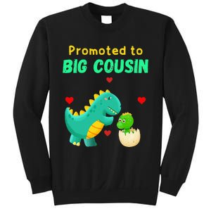 Promoted To Big Cousin Dinosaur I Love U Baby Kiss Sweatshirt