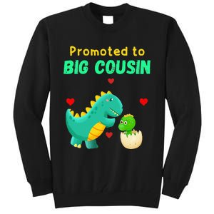 Promoted To Big Cousin Dinosaur I Love U Baby Kiss Tall Sweatshirt