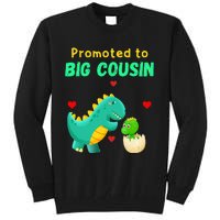 Promoted To Big Cousin Dinosaur I Love U Baby Kiss Tall Sweatshirt