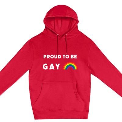 Proud To Be Gay Fun Lgbt Pride Cool Gift Premium Pullover Hoodie