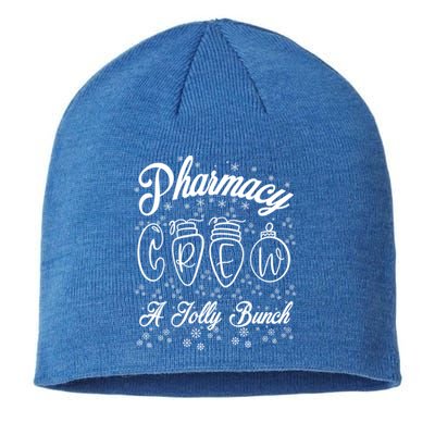 Pharmacy Technician Christmas Funny Gift Pharmacist Crew Jolly Gift Sustainable Beanie