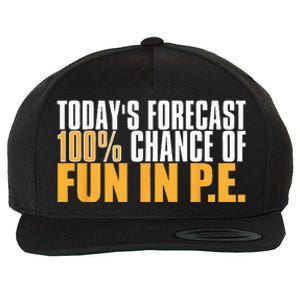 Pe Teacher Cool Educator School Physical Education Wool Snapback Cap