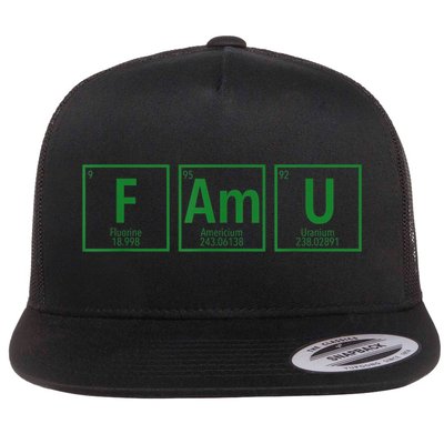 Periodic Table Chemistry With The FAMU Blerd Green Flatbill Hat