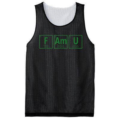 Periodic Table Chemistry With The FAMU Blerd Green Mesh Reversible Basketball Jersey Tank