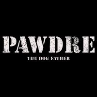 Pawdre The Dog Father Dog Dad Fathers Day Sustainable Bucket Hat