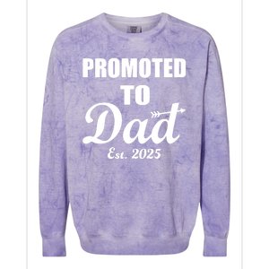 Promoted To Dad Est 2025 New Dad Colorblast Crewneck Sweatshirt