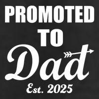Promoted To Dad Est 2025 New Dad Cool Comfort Performance Bucket Hat
