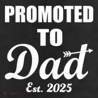 Promoted To Dad Est 2025 New Dad Adult Drive Performance Visor