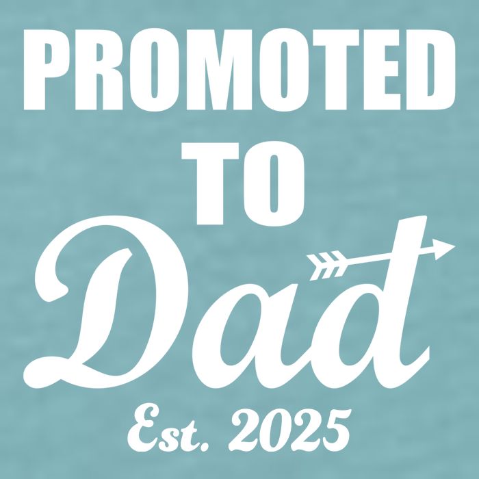 Promoted To Dad Est 2025 New Dad Sueded Cloud Jersey T-Shirt