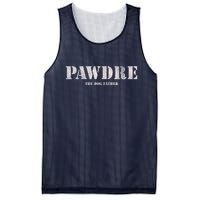 Pawdre The Dog Father Dog Dad Fathers Day Paw Fur Dog Dad Mesh Reversible Basketball Jersey Tank