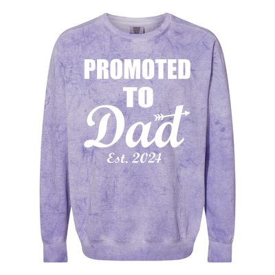 Promoted To Dad Est 2024 New Dad Colorblast Crewneck Sweatshirt