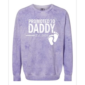 Promoted To Daddy Established 2024 New Dad Colorblast Crewneck Sweatshirt