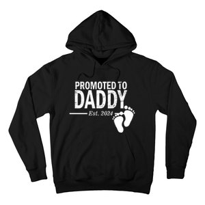 Promoted To Daddy Established 2024 New Dad Hoodie