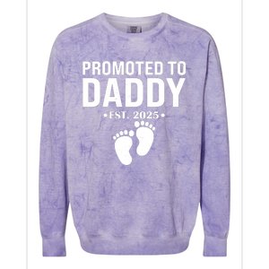 Promoted To Daddy Established 2025 New Dad Colorblast Crewneck Sweatshirt