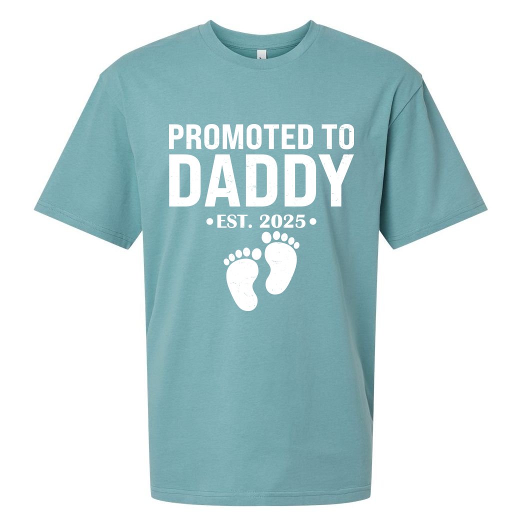 Promoted To Daddy Established 2025 New Dad Sueded Cloud Jersey T-Shirt