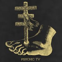 Psychic Tv Fan Art 7 Panel Mesh Trucker Snapback Hat