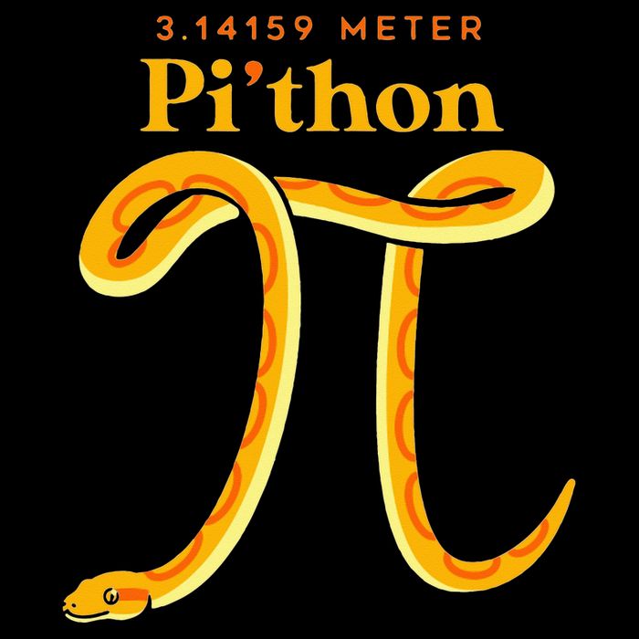 Pi Thon Funny Pi Day Ball Python Snake For Teacher Bag